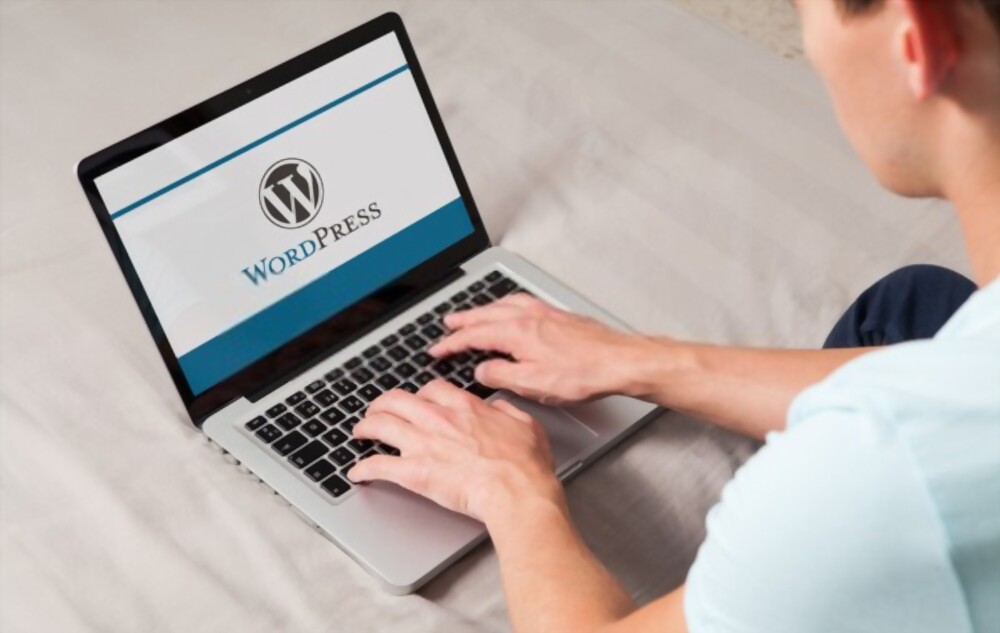 Are You Seeking Information About WordPress?